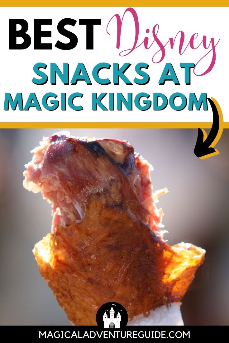close-up image of a smoked turkey leg from Magic Kingdom