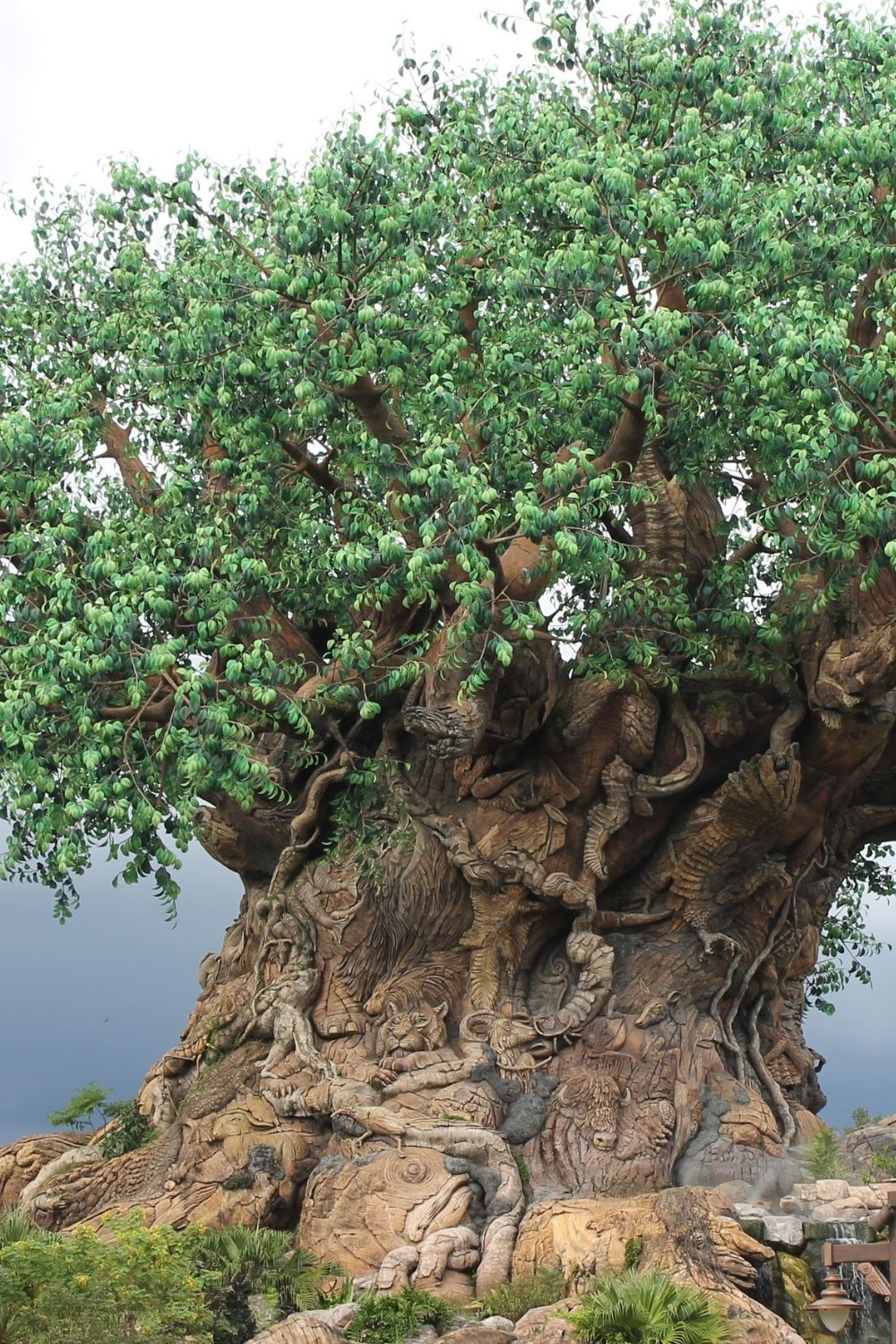 the Tree of Life at Animal Kingdom in May, with rain clouds behindit