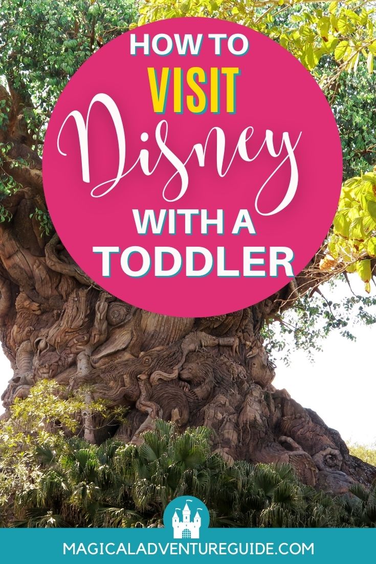 tree of life in animal kingdom, with an overlay that reads, "How to Visit Disney With a Toddler"
