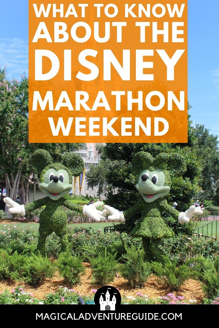Mickey and Minnie topiaries at Magic Kingdom. An overlay reads, "What to Know about the Disney Marathon Weekend"