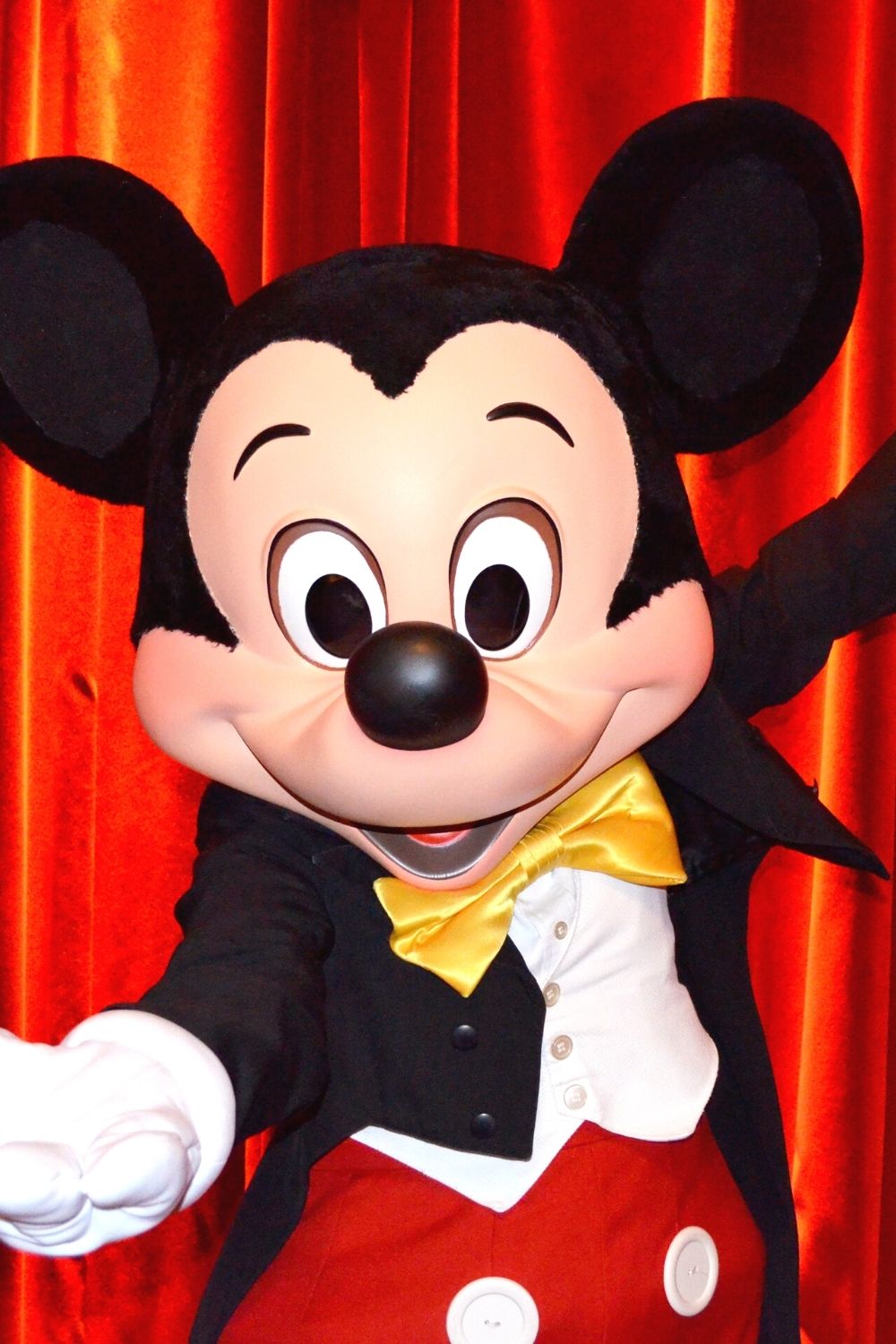 Mickey character during a meet and greet at DIsney World