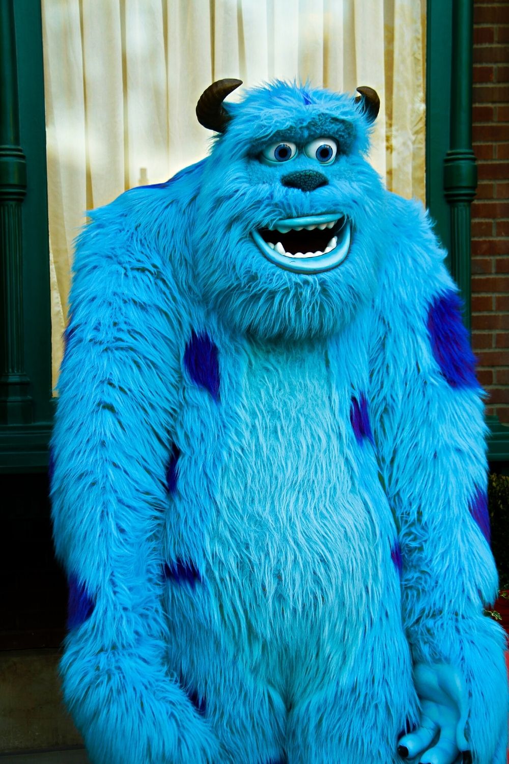 James P. Sullivan, or Sully, from Monster's Inc., greeting fans at Disneyland. Sully is believed to be the tallest Disney character.