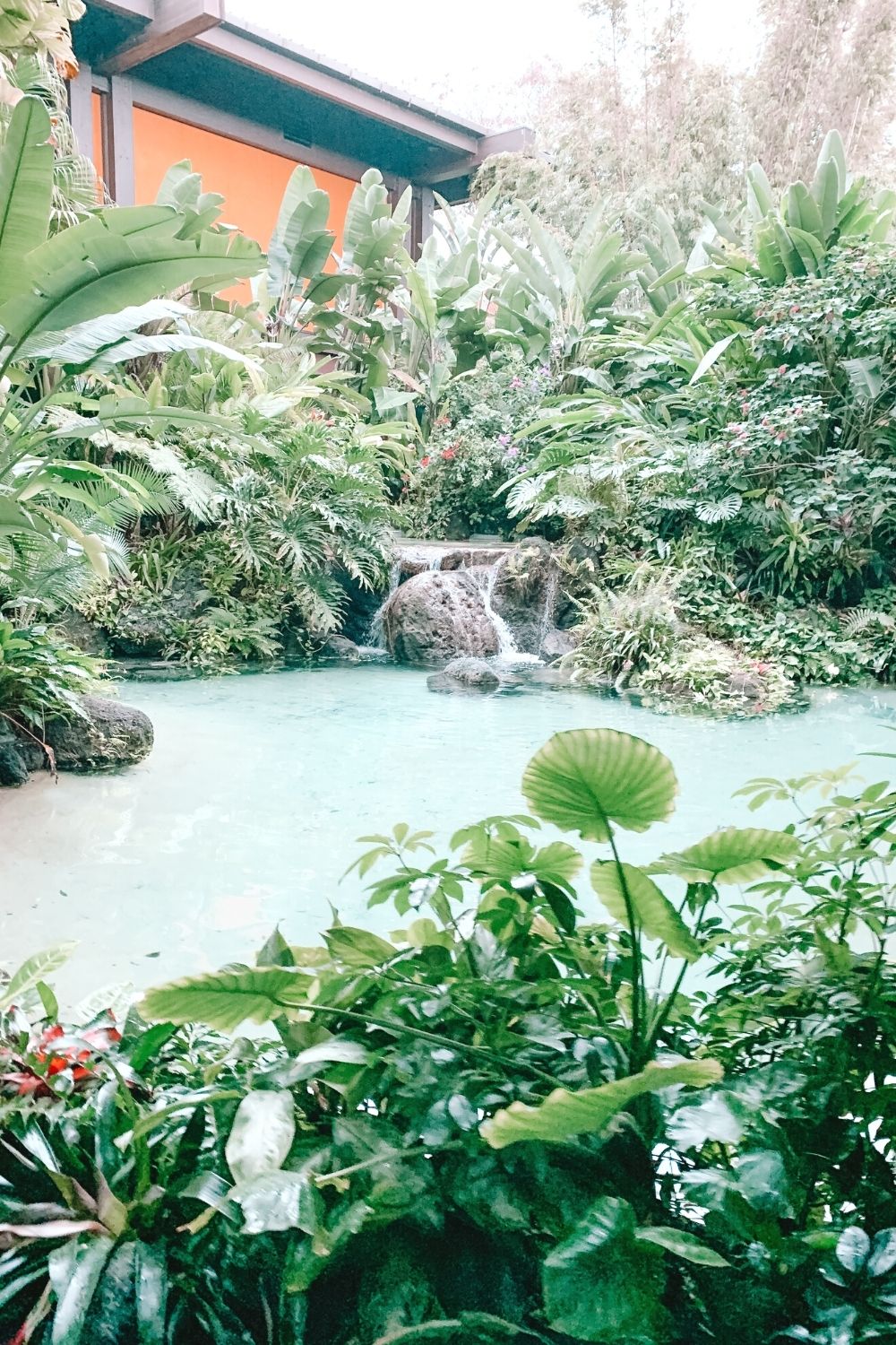 a view of a small waterfall and the lush tropical foliage of Disney's Polynesian Resort