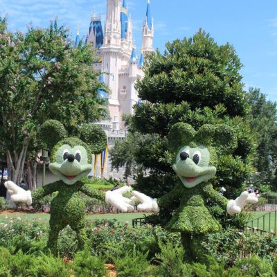 The 10 Best Disney World Tips Every Park-Goer Should Know