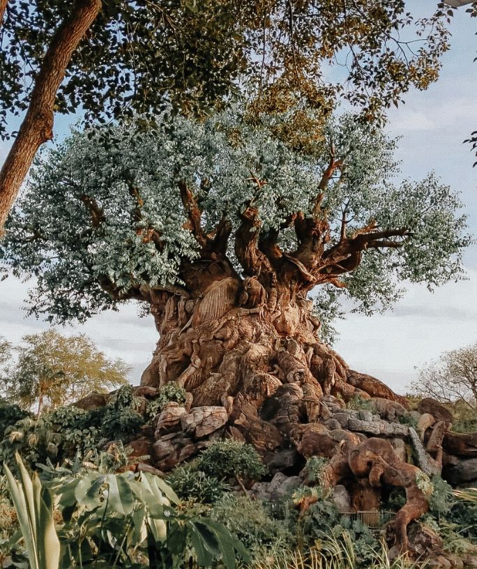 tree of life at Disney's Animal Kingdom