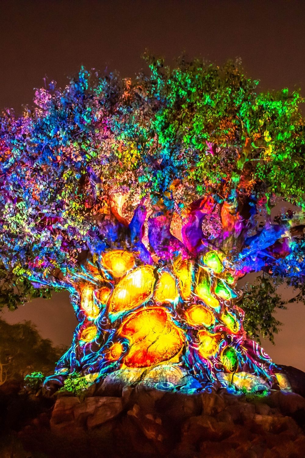 Tree of Life Awakenings holiday projections at Disney's Animal Kingdom