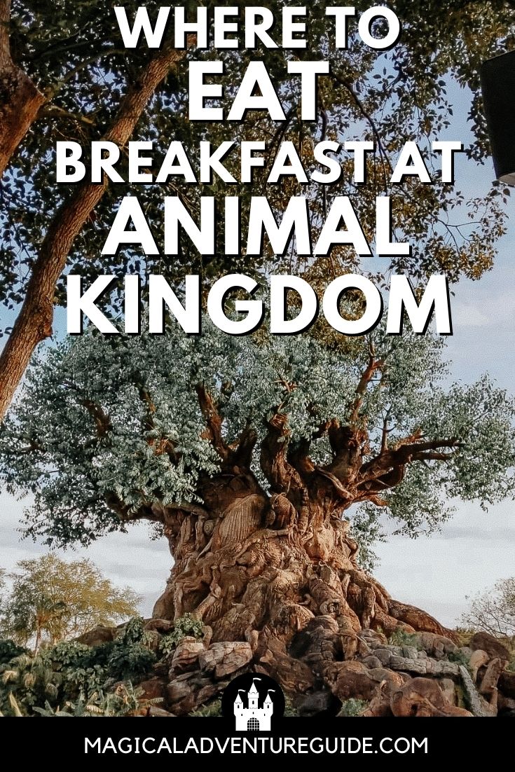 Tree of Life at Disney's Animal Kingdom. An overlay reads, "Where to Eat Breakfast at Animal Kingdom"
