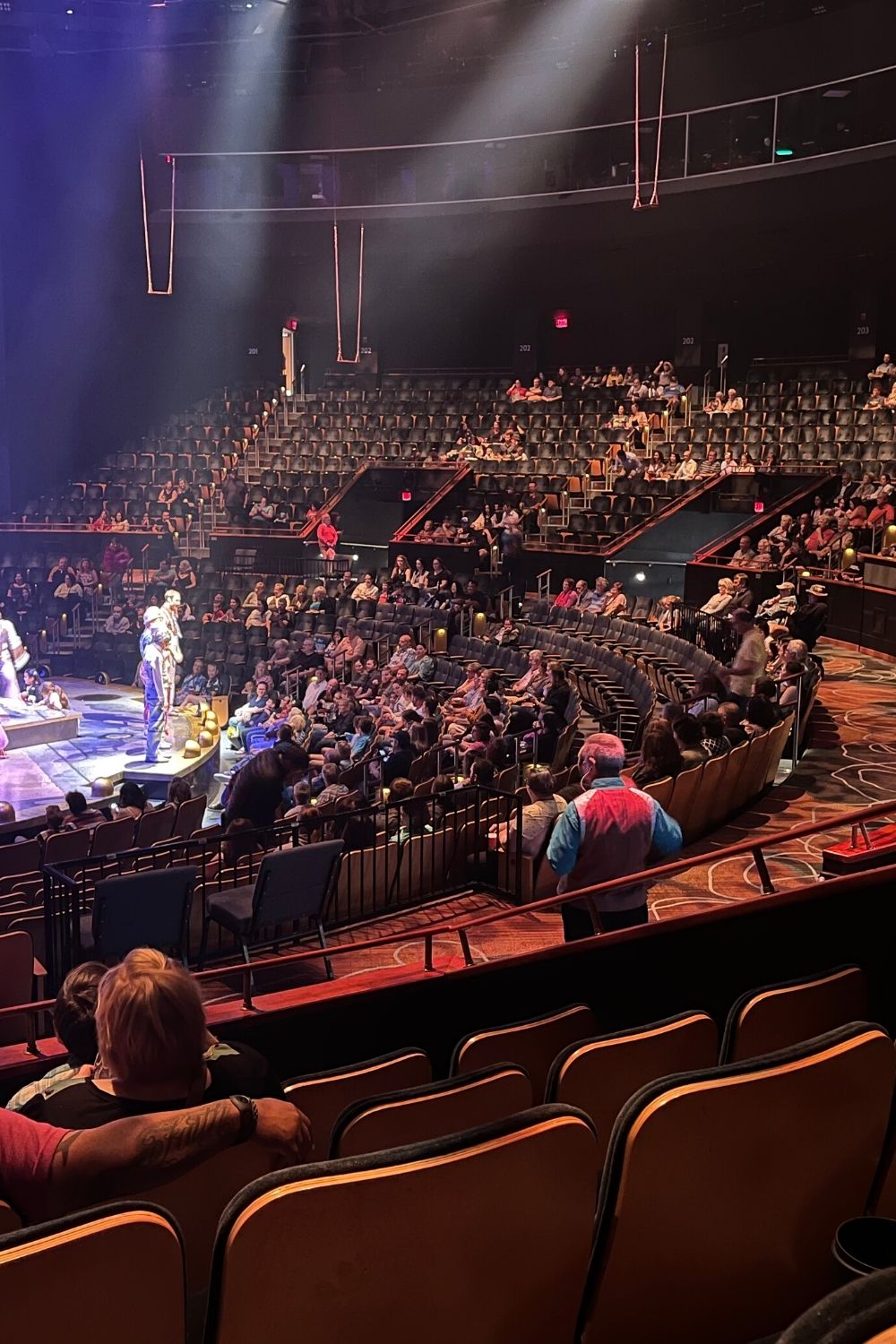 inside the Cirque du Soleil theater at Disney Springs