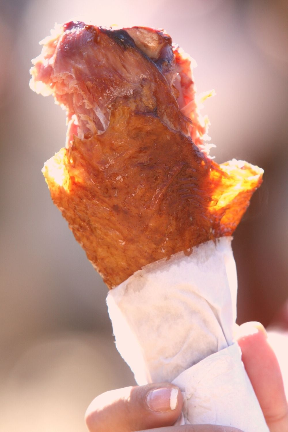 turkey leg at Disney World, which is not a great keto choice